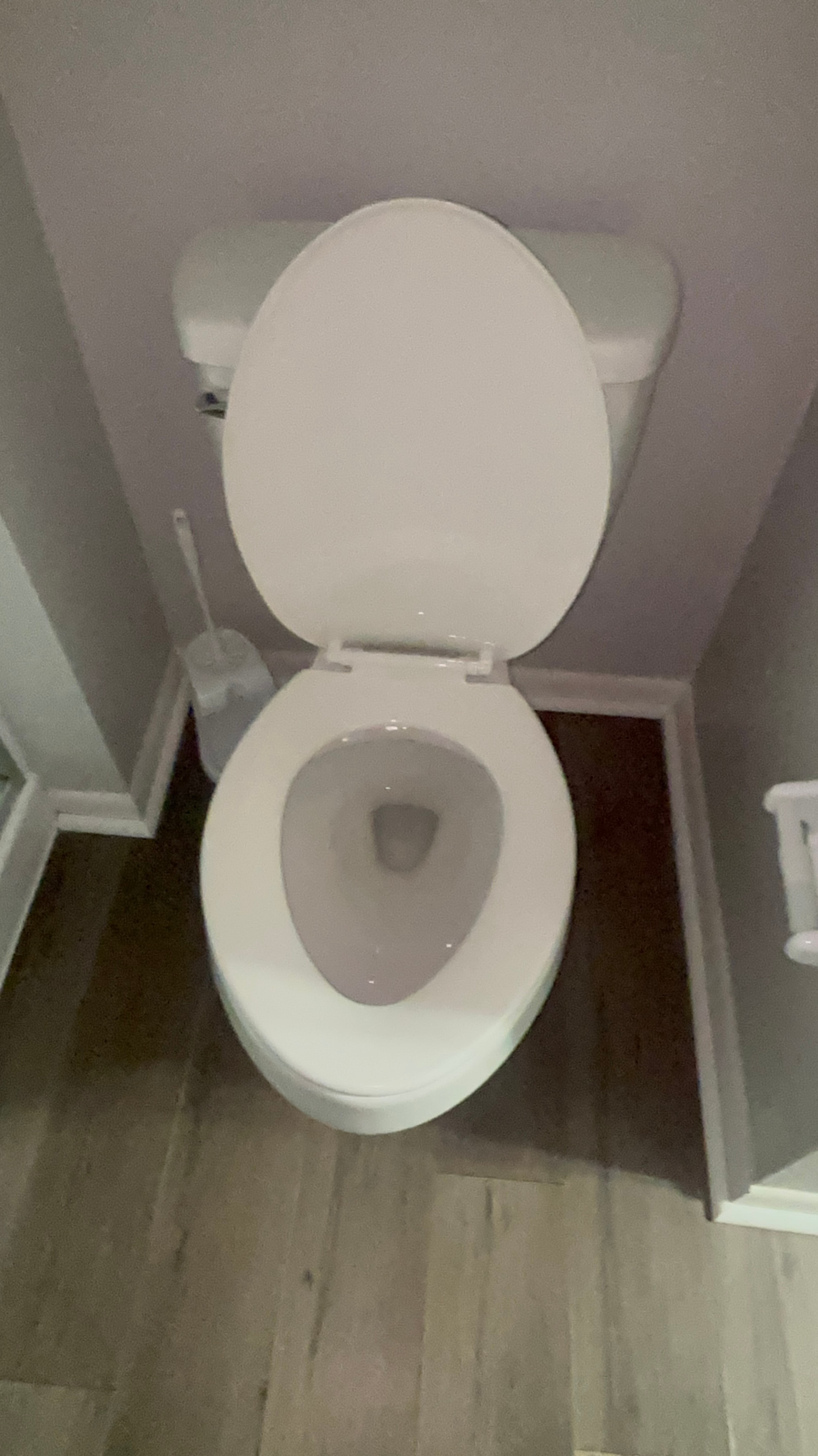 Fully clean toilet lid open after cleaning